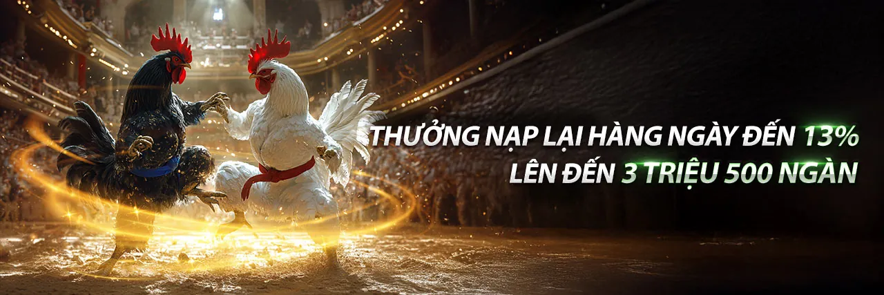 Đá Gà Trực Tuyến mm9 Link Vào 2026